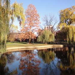 Boston